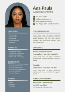 Currículo profissional moderno monocromático